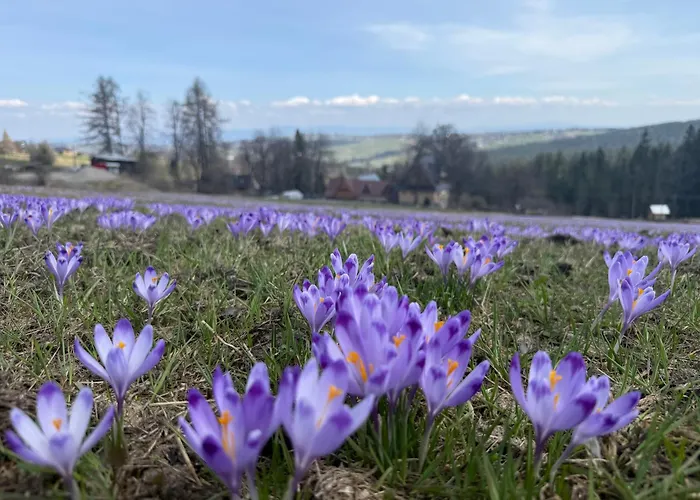 Willa Park Zakopane